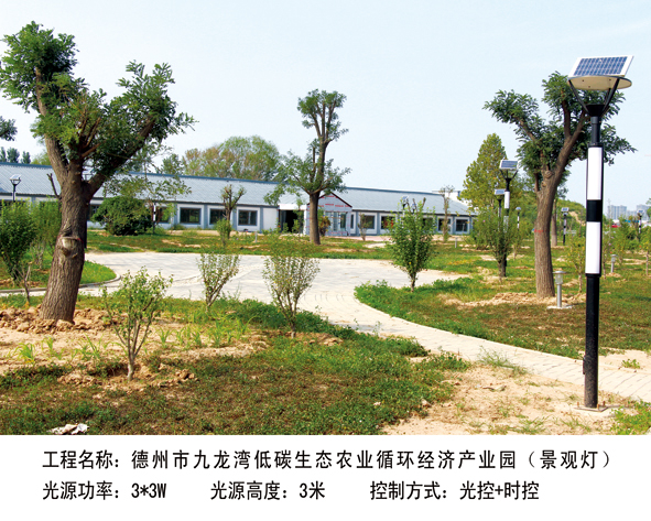 德州市九龍灣 低碳生態(tài)農(nóng)業(yè)循環(huán)經(jīng)濟(jì)產(chǎn)業(yè)園（景觀燈） 3m